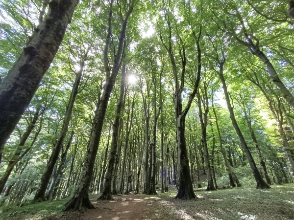 25 APRILE IN FAGGETA Viaggi Organizzati
